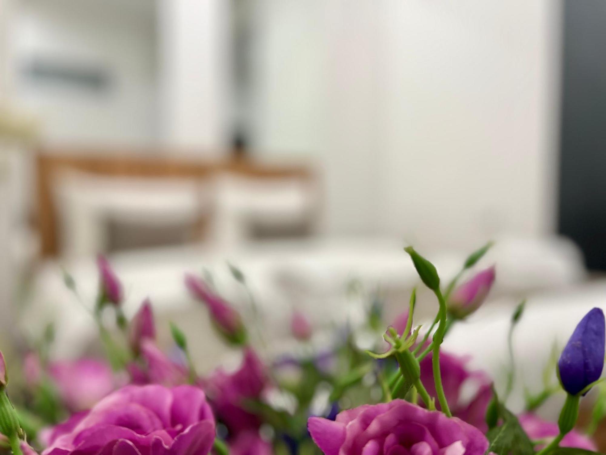 Yvn Tumanyan Apart-Hotel Yerevan Luaran gambar
